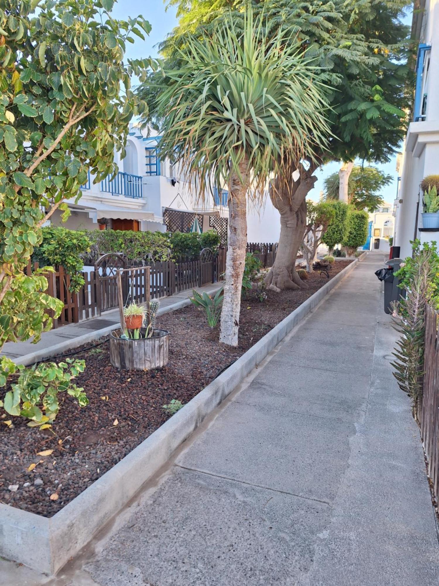 Poolfront Bungalow Playa del Inglés Zewnętrze zdjęcie